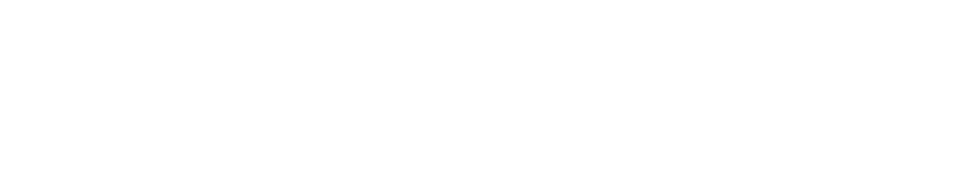 Transglobal Footer Logo