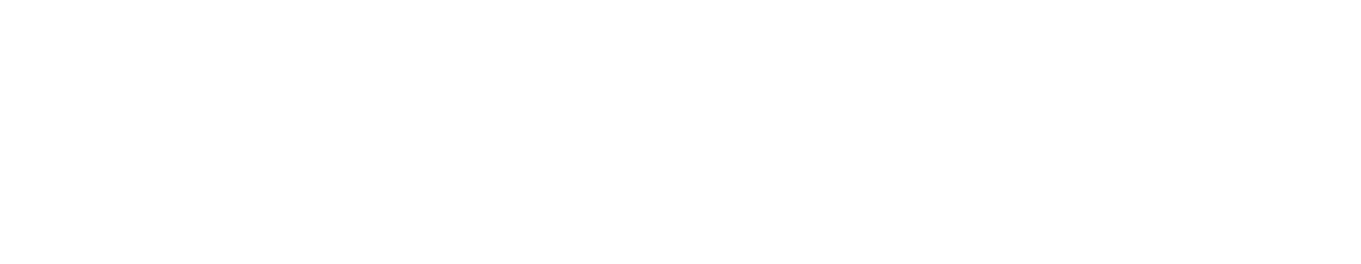 Transglobal Footer Logo